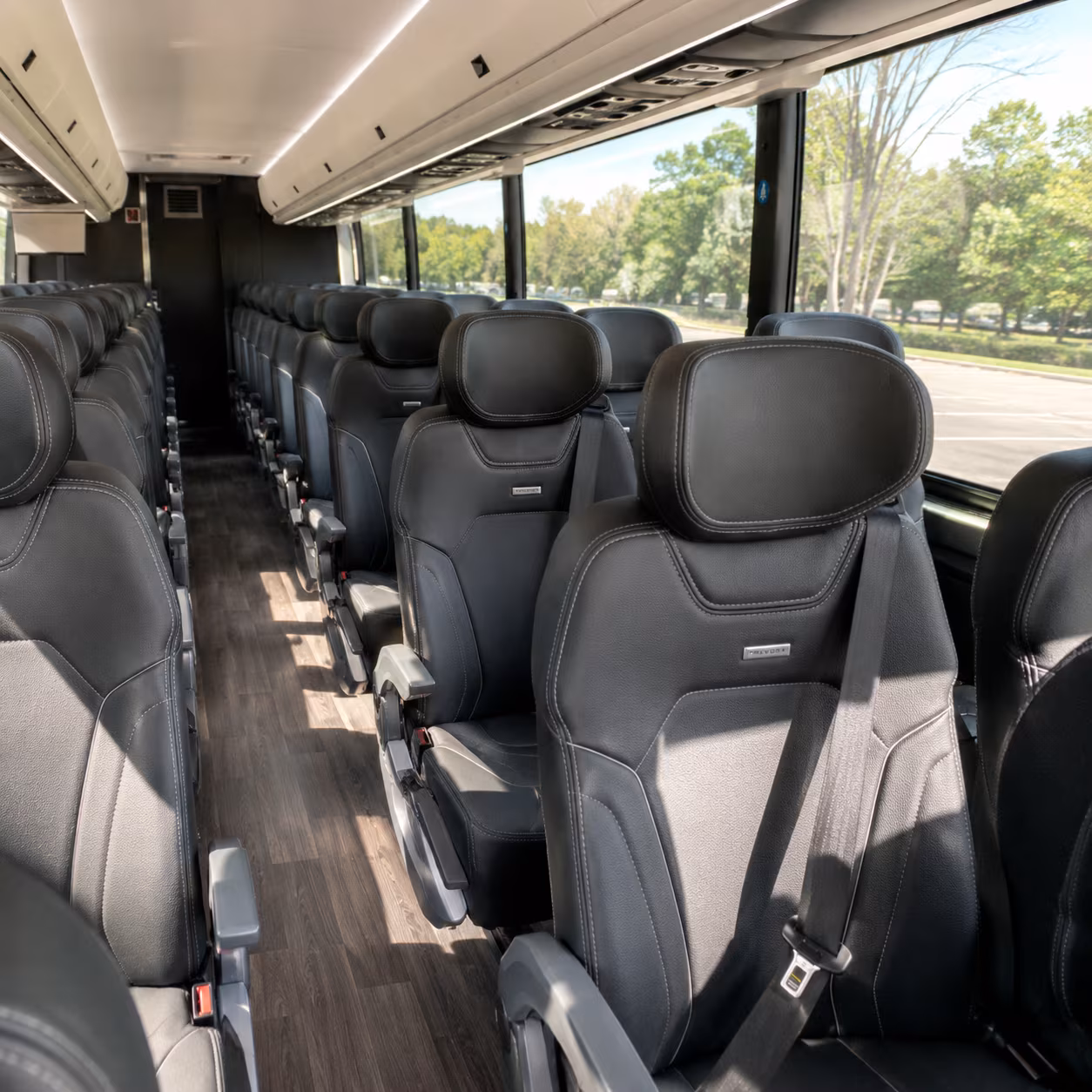 gastonia 56 passenger charter bus inside